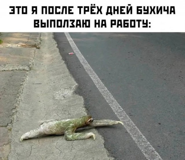 Немного картинок 07.05.23
