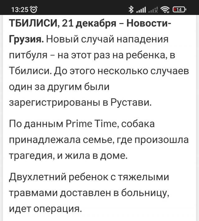 Три стаффа загрызли мальтипу на руках у девушки, пока хозяин лежал рядом