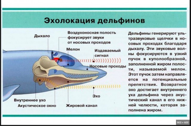 Атеистический пост
