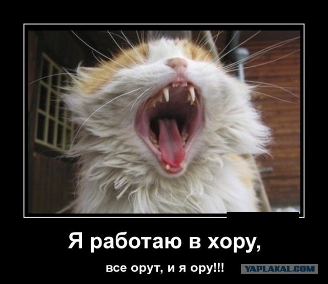 Певца нам в ленту