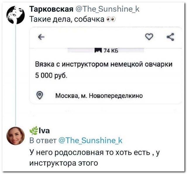 Забавные комментарии из социальных сетей (13.11.23)