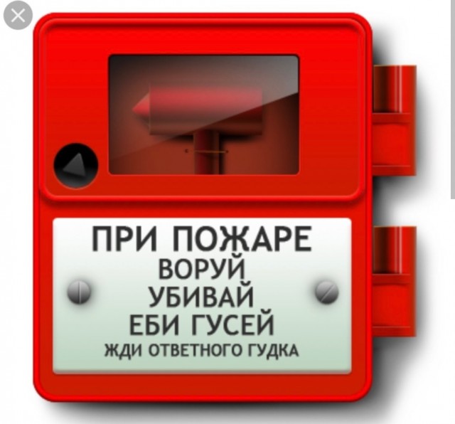 Гусь огонь