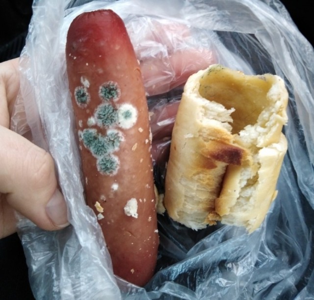 Мужчины более человечны чем женщины