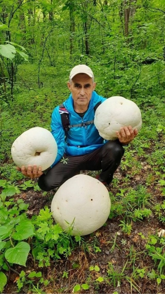 Тихий охотник