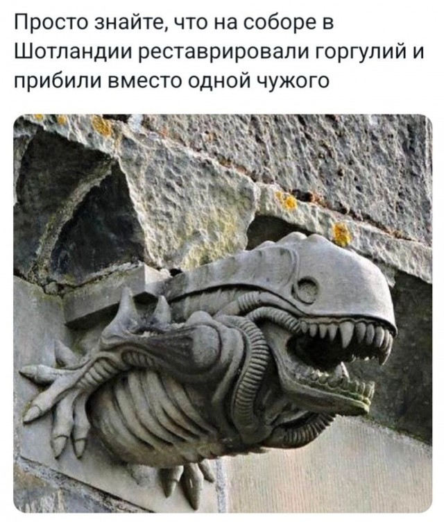 Всего понемногу. От 26.08.24