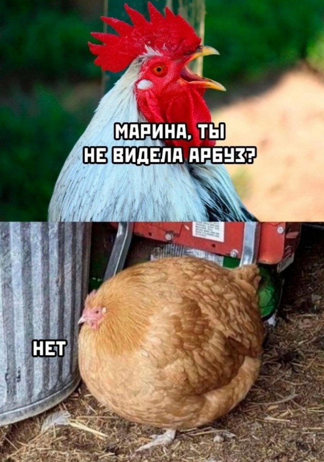 Прикольные и просто красивые картинки