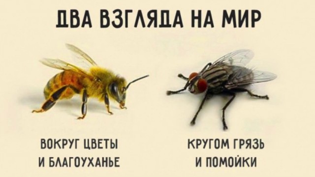 Смешно? Да!
