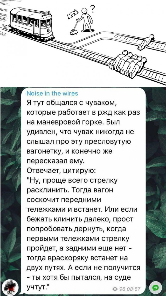 Взгляд профессионала на "Проблему вагонетки"