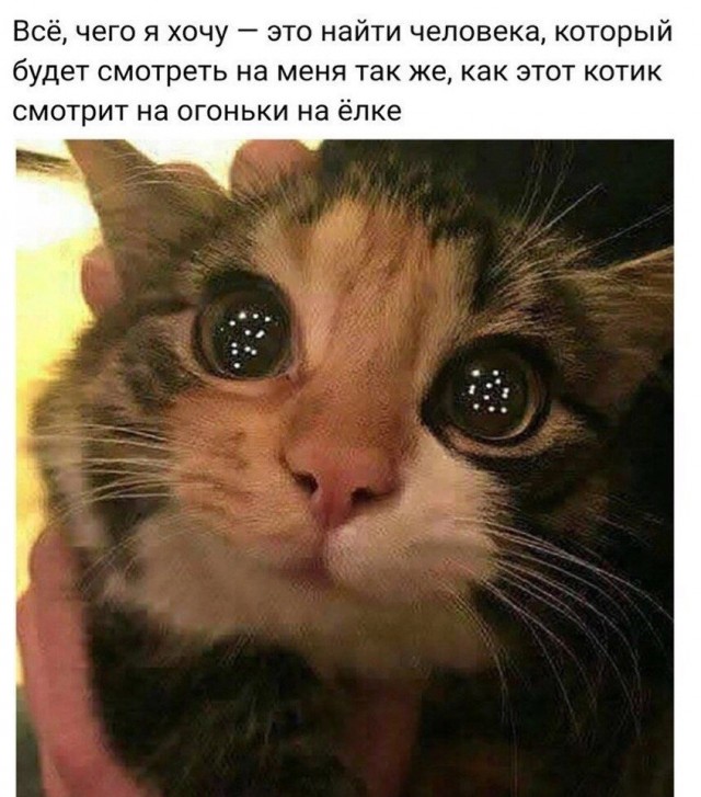 Так себе картинки 29.10.24