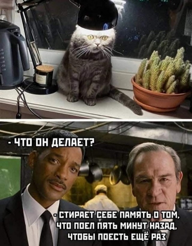 Нуштош 25.12.2024