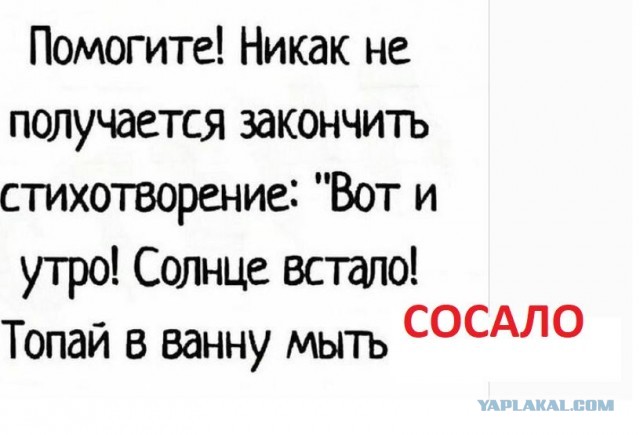 Забавные картинки, шутки из этих ваших интернетов