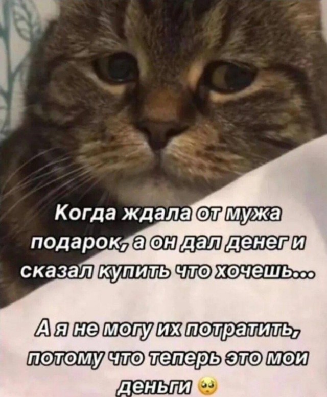 А давайте подарками хвастаться?