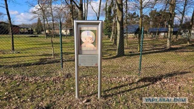 «Тут похоронены русские дети». Их убили торговцы автомобилями в Германии⁠⁠