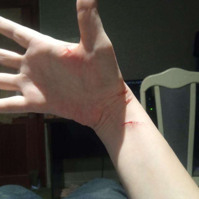 Прокапал кошку от глистов)