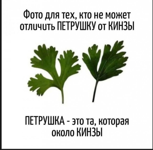 Так себе картинки 11.05.25
