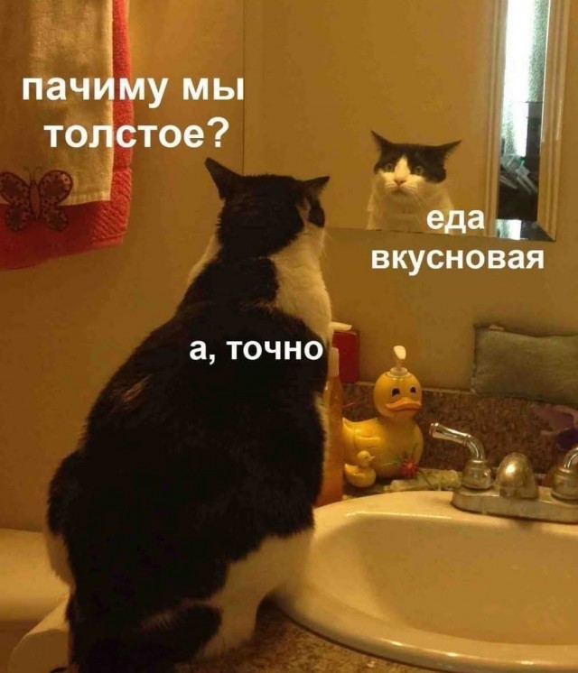 Маленькая пятница 28.05