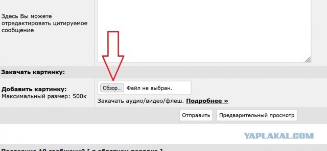 Роза-брюква