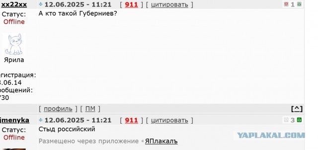 Губерниев на концерте в честь Дня России