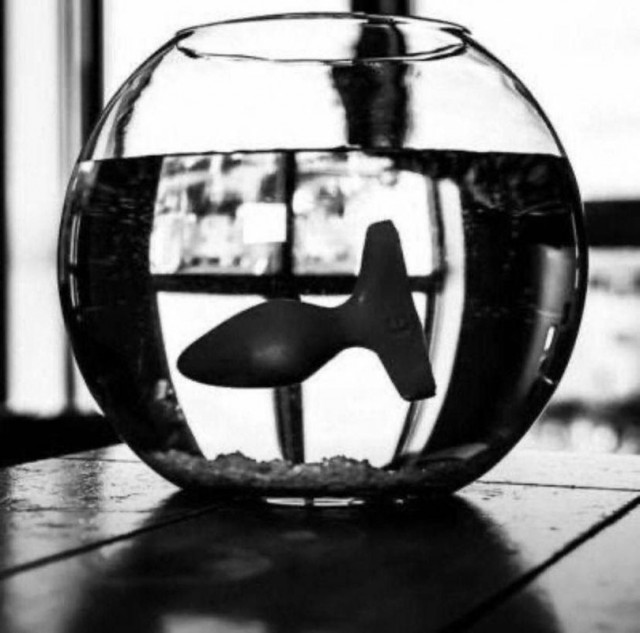 Немного мемчиков. Для взрослых. Часть 37