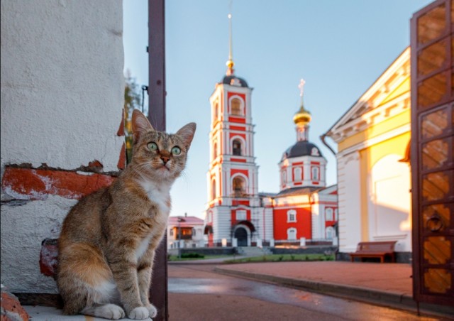 Красивых фото тост