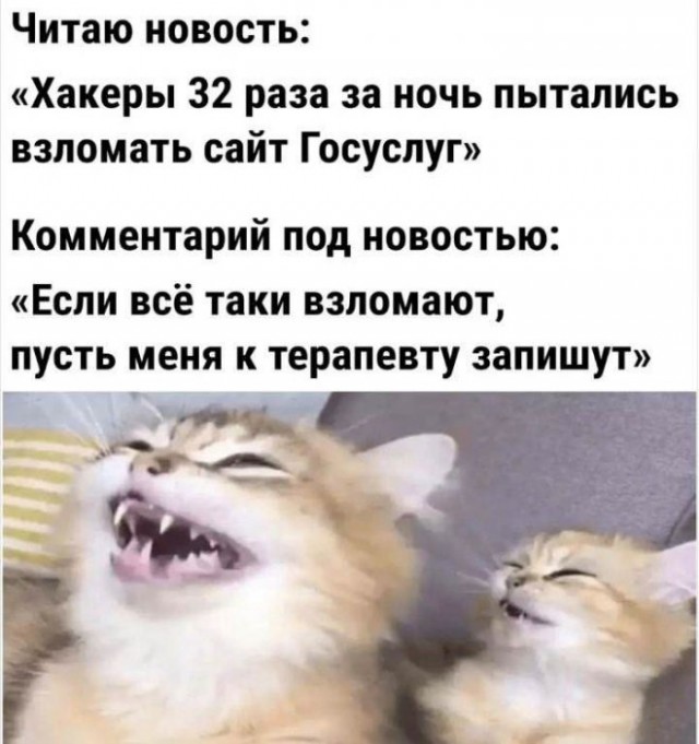 Веселые картинки в пятницу (17.10)
