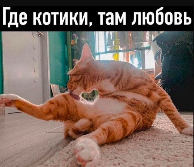 Картинки для деградации 73 (разной степени свежести)