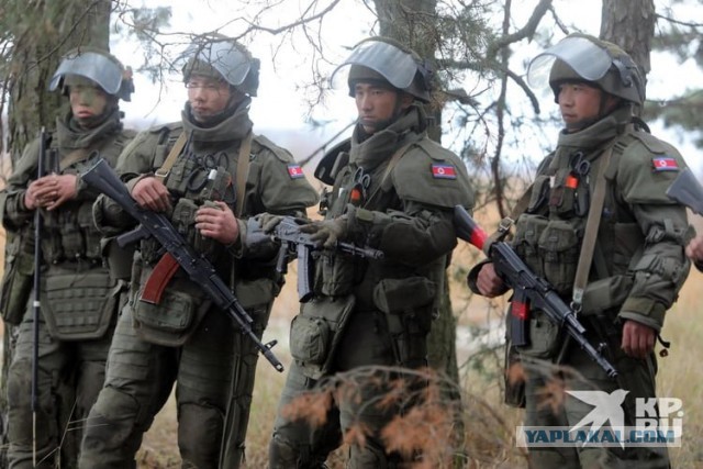 Северокорейские саперы в процессе разминирования территории Курской области