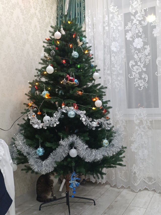 План нападения.