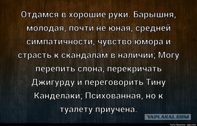 Картиночки, баянчики 15 декабря