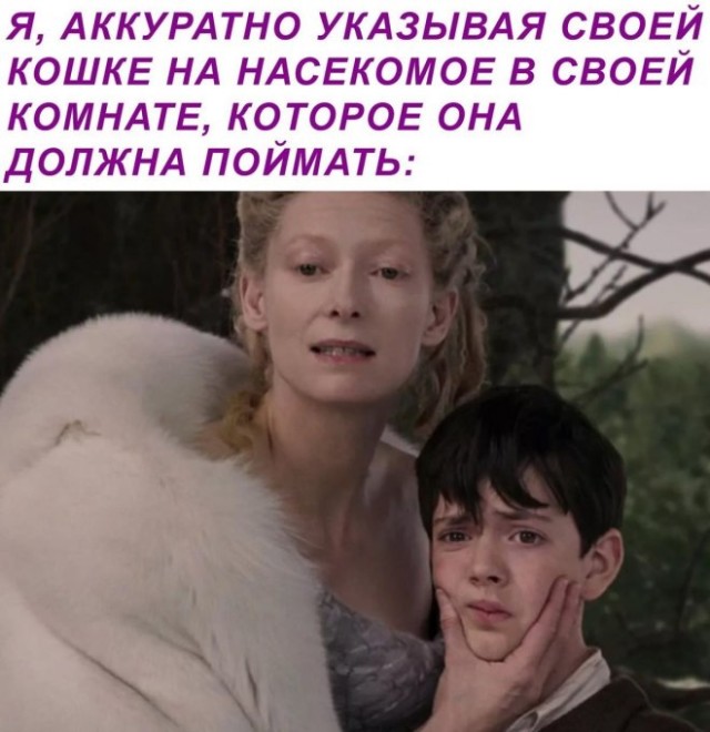 Картиночки, баянчики 16 декабря