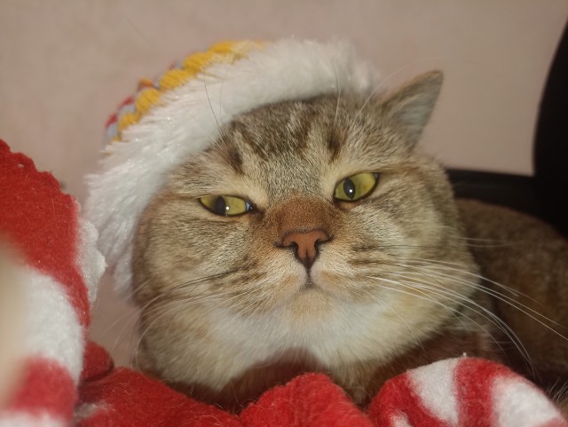 Пора и потрудиться после  праздников.