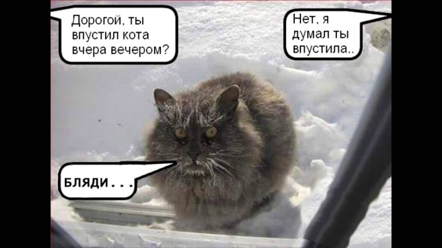 Снежок