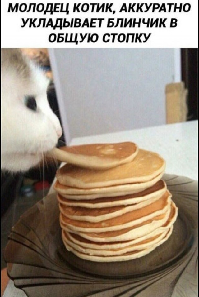 Так себе картинки 26.02.26