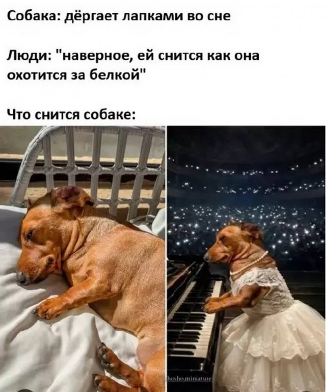 Понедельника картинки