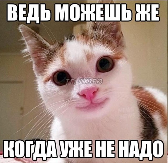 Немного картинок на ночь