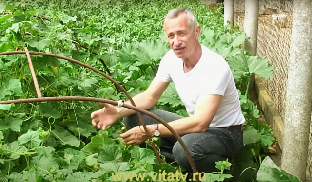 Озарение