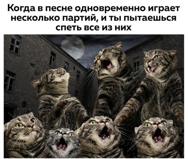 Картинки для деградации 250 (разной степени свежести)