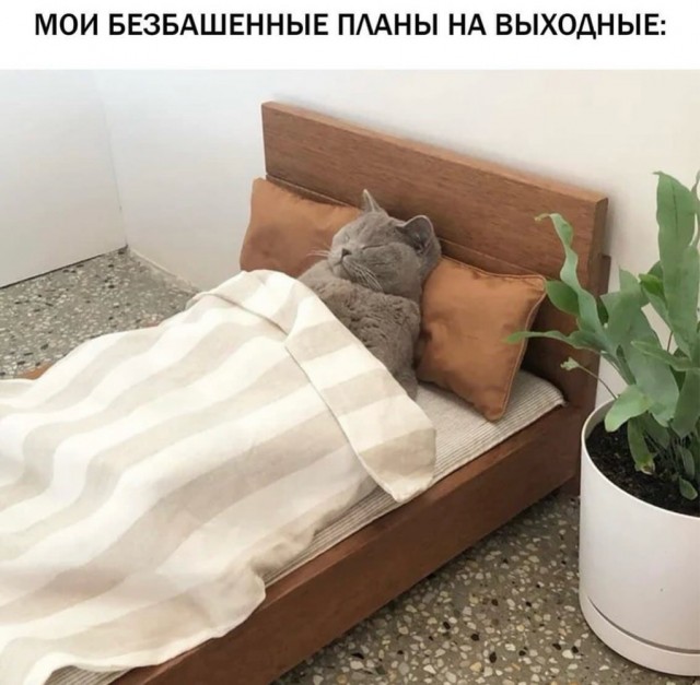 21191218.jpg