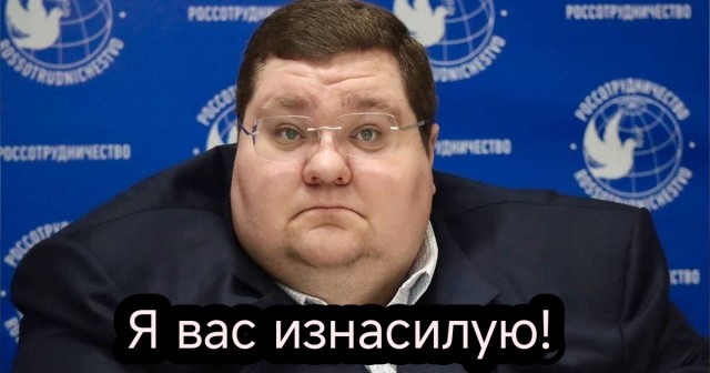 Чайка случайно попала под теннисный мяч