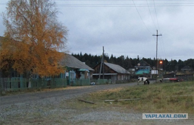 3 дня на Оби, октябрь 2013 г.
