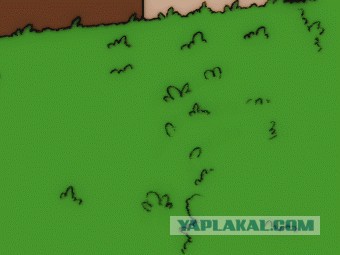 Сексуальный скандал с  Катей Клэп