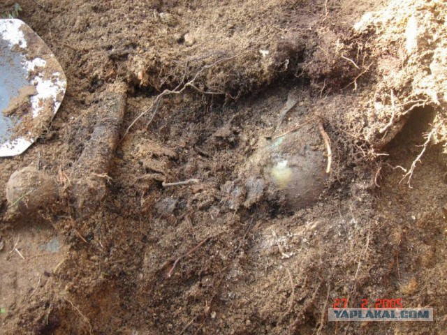 Отчет Банды маргиналов или трэш на Северах