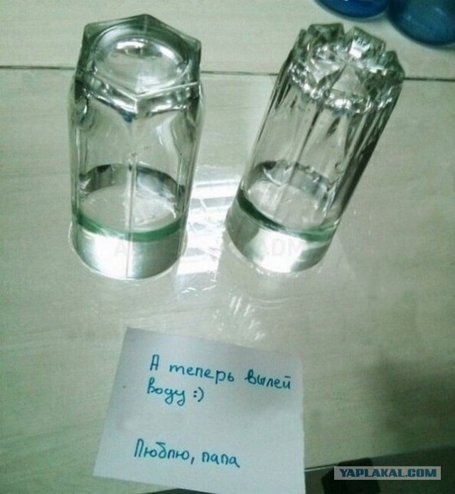 Весёлое из сети
