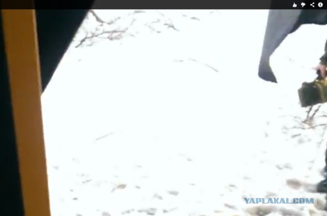Видео растреляного автобуса под Волновахой