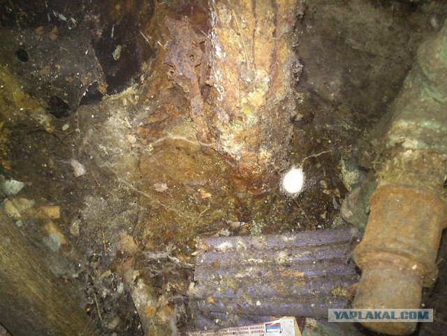 Зашел на днях в подвал.