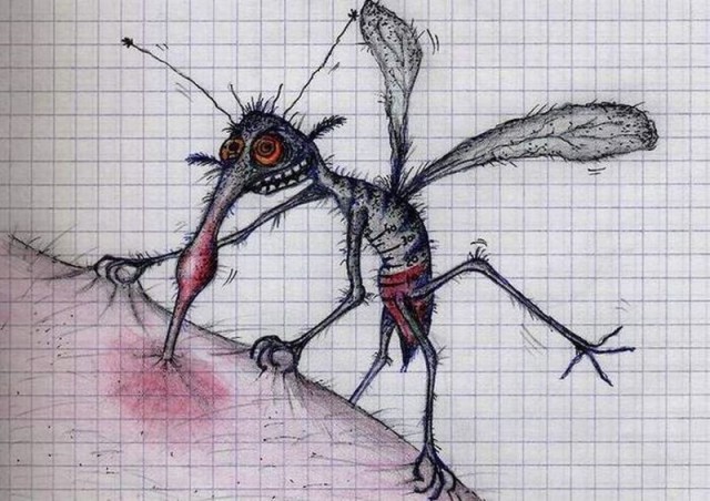 Дары Севера