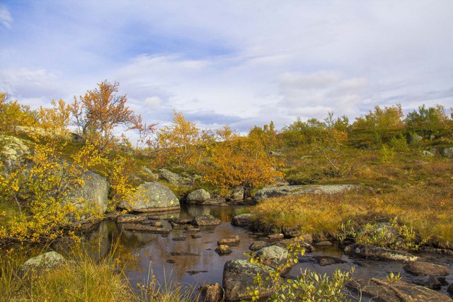 Поездка на Кольский полуостров.