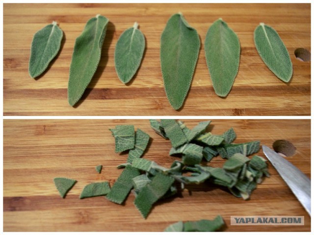 По следам прославленных кулинаров, День повара – 20 октября.