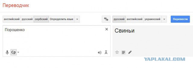 Странности сербского языка