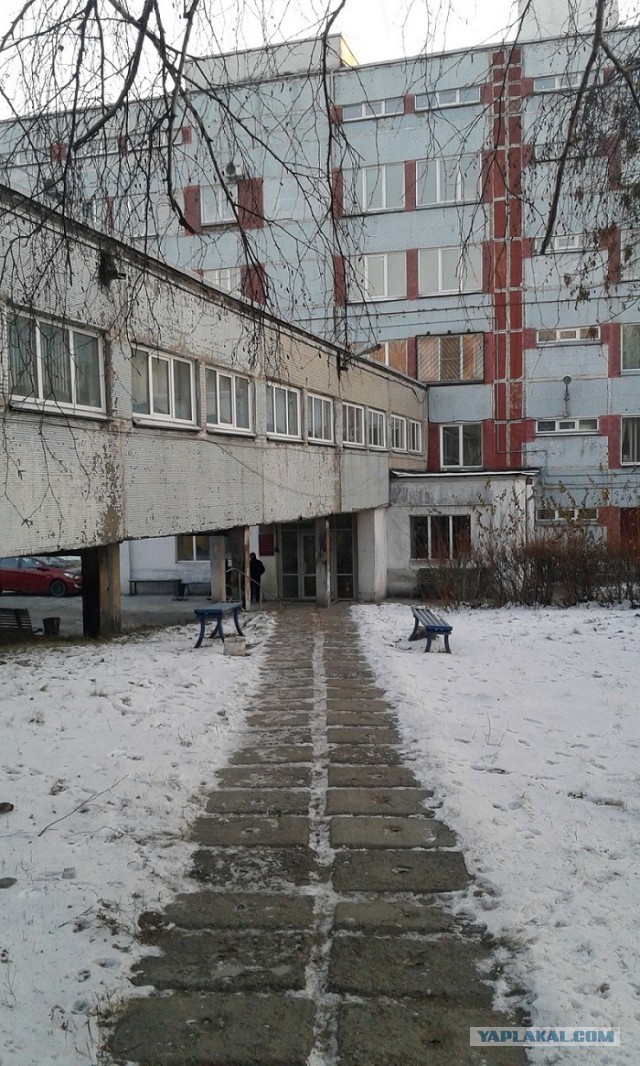 Лёха, вставай!
